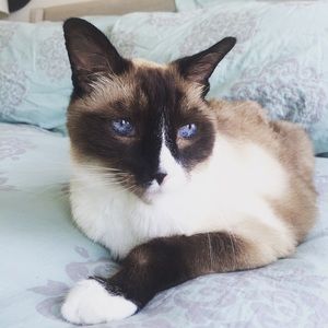 Meet your Posher, Kasandra